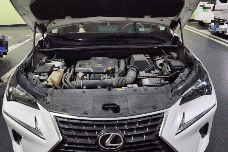 Used Lexus NX 2018 300 Front-Drive Freeline Edition Engine Bay