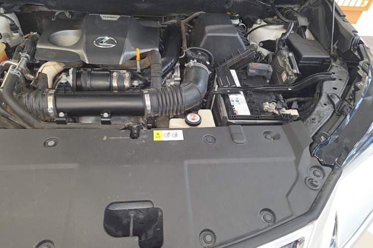 Used Lexus NX 2018 300 Front-Drive Freeline Edition Engine Bay Left