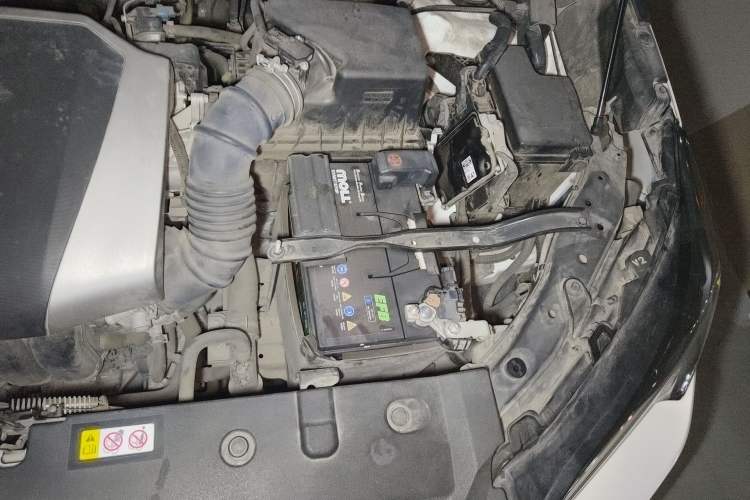 Used Lexus NX 2018 200 All-Wheel Drive FENGSHANG Version China VI Standard Engine Bay Left
