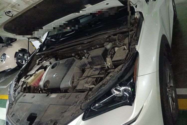 Used Lexus NX 2018 200 Front-Wheel-Drive Xingxing Edition China VI Standard Engine Bay Left