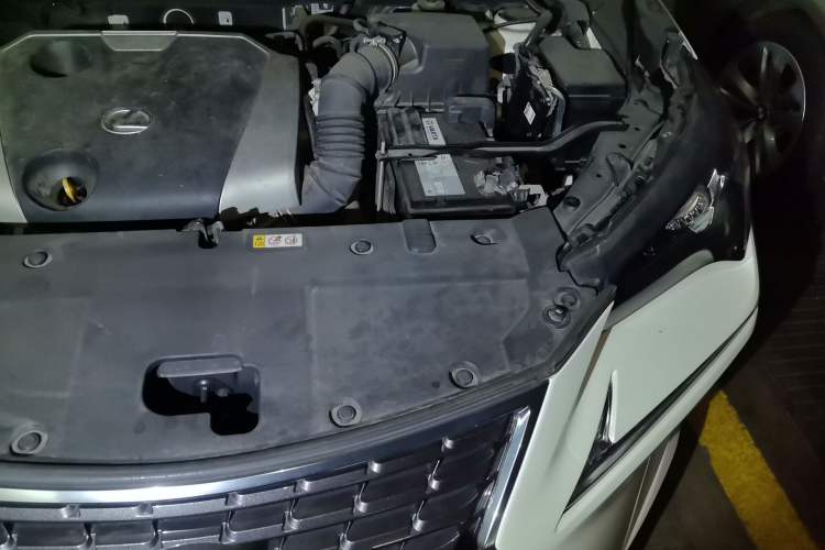 Used Lexus NX 2018 200 Front-Wheel-Drive X-Trail Version China V Standard Engine Bay Left