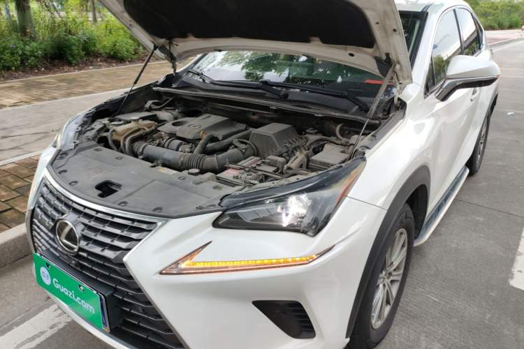 Used Lexus NX 2018 300 Front-Drive Freeline Edition Engine Bay Left