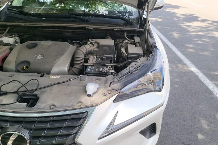 Used Lexus NX 2018 200 Front-Wheel-Drive Xingxing Edition China VI Standard Engine Bay Left