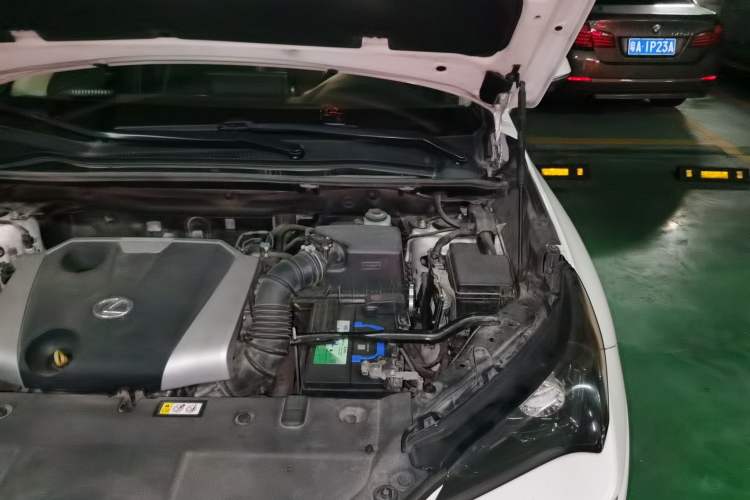 Used Lexus NX 2018 200 Front-Wheel-Drive X-Trail Version China V Standard Engine Bay Left