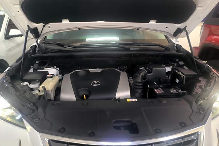 Used Lexus NX 2018 200 Front-Wheel-Drive Xingxing Edition China VI Standard Engine Bay