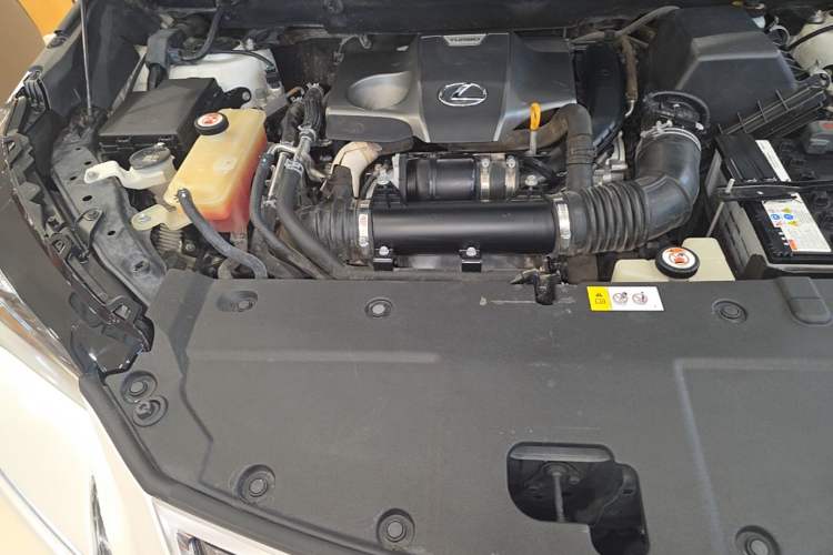 Used Lexus NX 2018 300 Front-Drive Freeline Edition Engine Bay Right