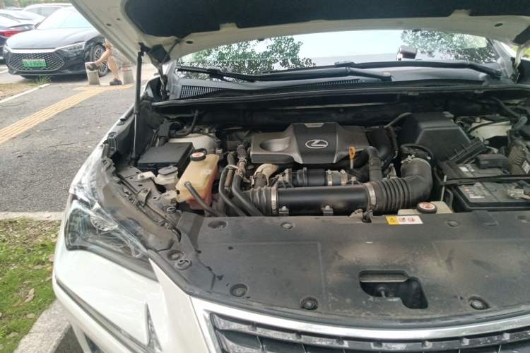 Used Lexus NX 2018 300 Front-Drive Freeline Edition Engine Bay Right