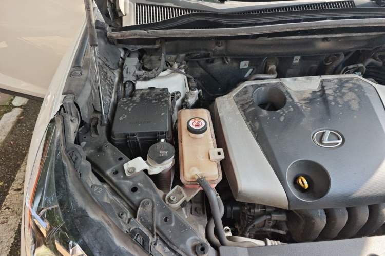 Used Lexus NX 2018 200 Front-Wheel-Drive Xingxing Edition China VI Standard Engine Bay Right