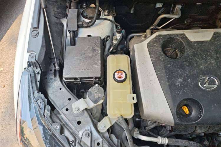 Used Lexus NX 2018 200 All-Wheel Drive Fēngshàng Version China V Standard Engine Bay Right