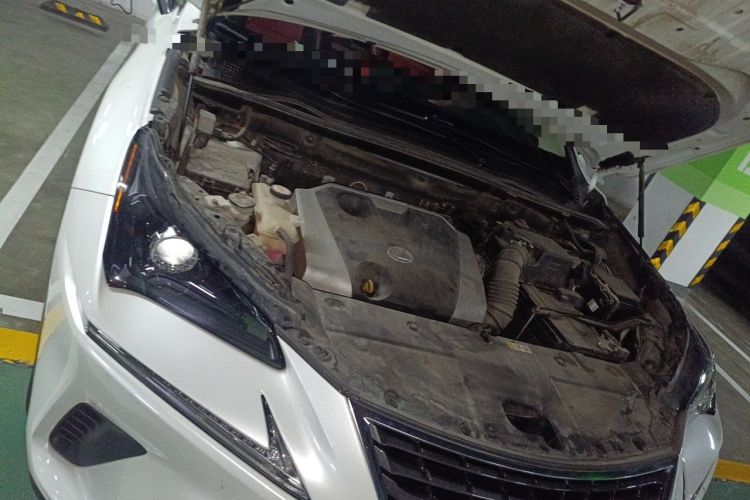 Used Lexus NX 2018 200 Front-Wheel-Drive Xingxing Edition China VI Standard Engine Bay Right