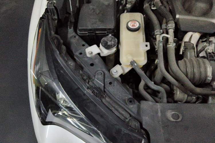 Used Lexus NX 2018 300 Front-Drive Freeline Edition Engine Bay Right