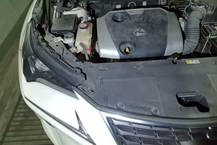 Used Lexus NX 2018 200 Front-Wheel-Drive X-Trail Version China V Standard Engine Bay Right