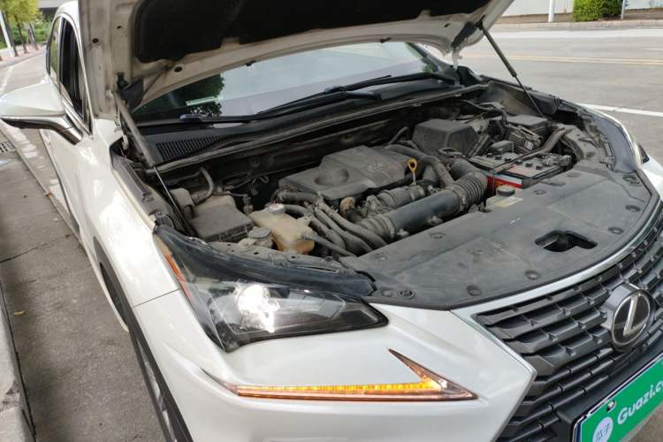 Used Lexus NX 2018 300 Front-Drive Freeline Edition Engine Bay Right