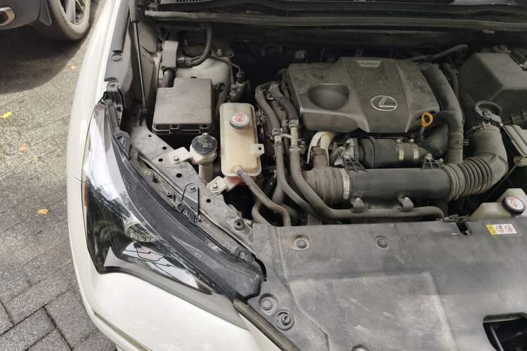 Used Lexus NX 2018 300 Front-Drive Freeline Edition Engine Bay Right
