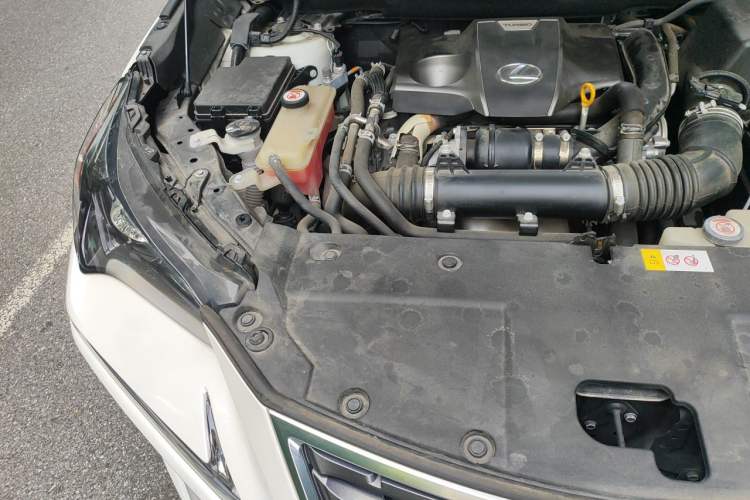 Used Lexus NX 2018 300 Front-Drive Freeline Edition Engine Bay Right