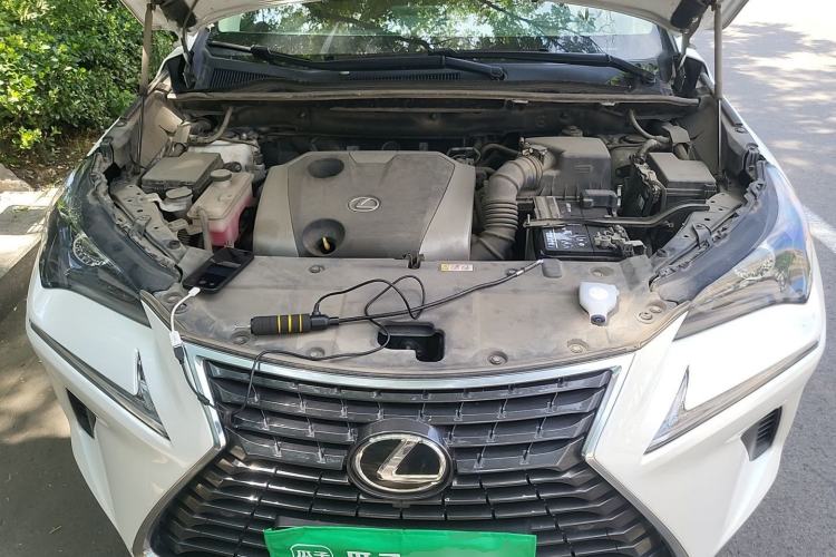 Used Lexus NX 2018 200 Front-Wheel-Drive Xingxing Edition China VI Standard Engine Bay