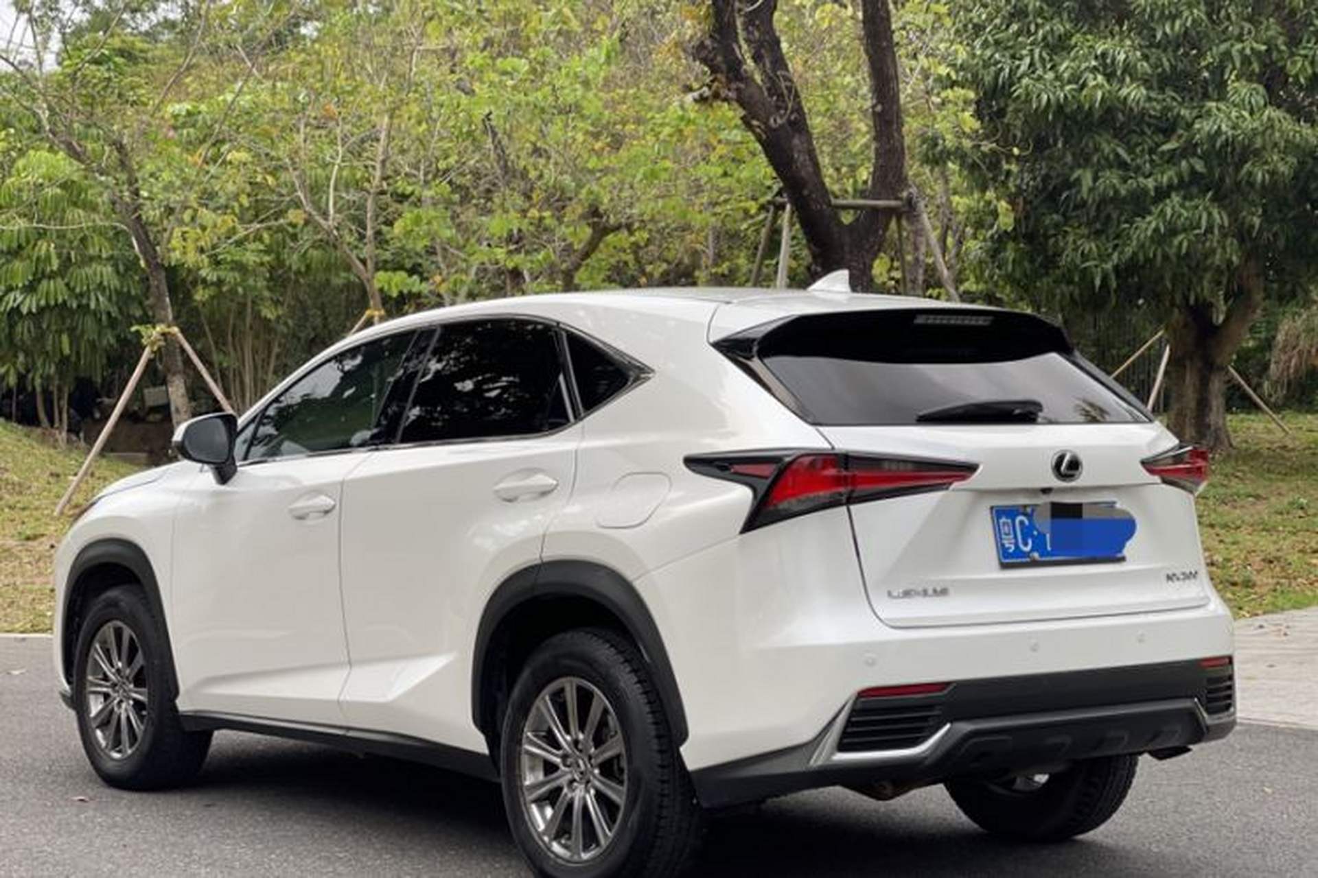 Used Lexus NX 2018 200 Front-Wheel-Drive Xingxing Edition China VI Standard Exterior 1