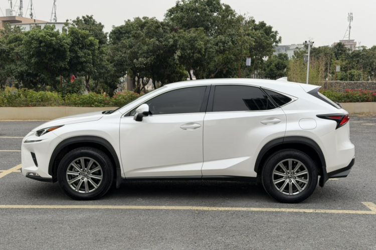 Used Lexus NX 2018 300 Front-Drive Freeline Edition Exterior 5