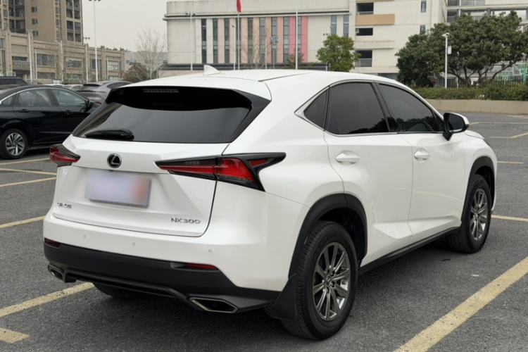 Used Lexus NX 2018 300 Front-Drive Freeline Edition Exterior 6