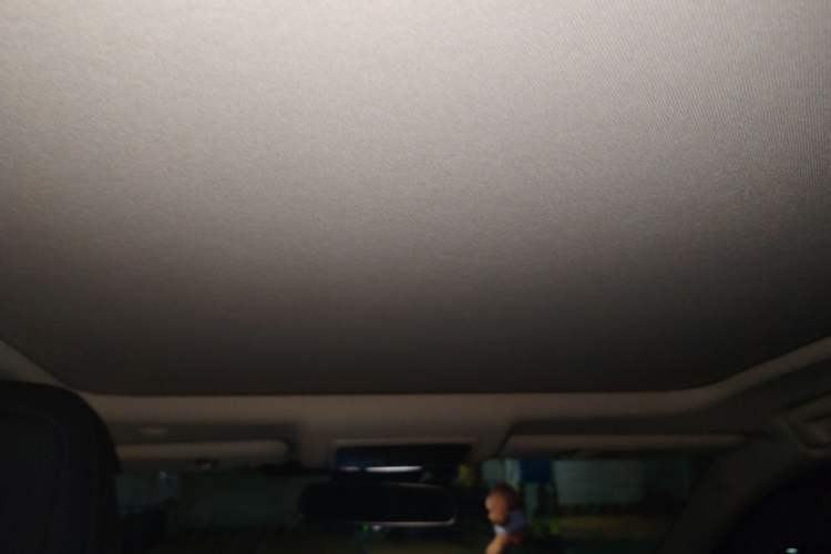 Used Lexus NX 2018 300h All-Wheel-Drive FENGZHI Edition China V Emission Standard Headliner
