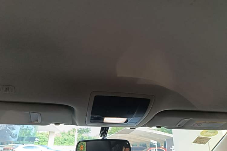 Used Lexus NX 2018 200 Front-Wheel-Drive Xingxing Edition China VI Standard Headliner