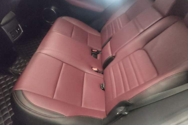 Used Lexus NX 2018 200 Front-Wheel-Drive Xingxing Edition China VI Standard Left Rear Seat