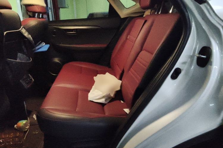 Used Lexus NX 2018 300 Front-Drive Freeline Edition Left Rear Seat