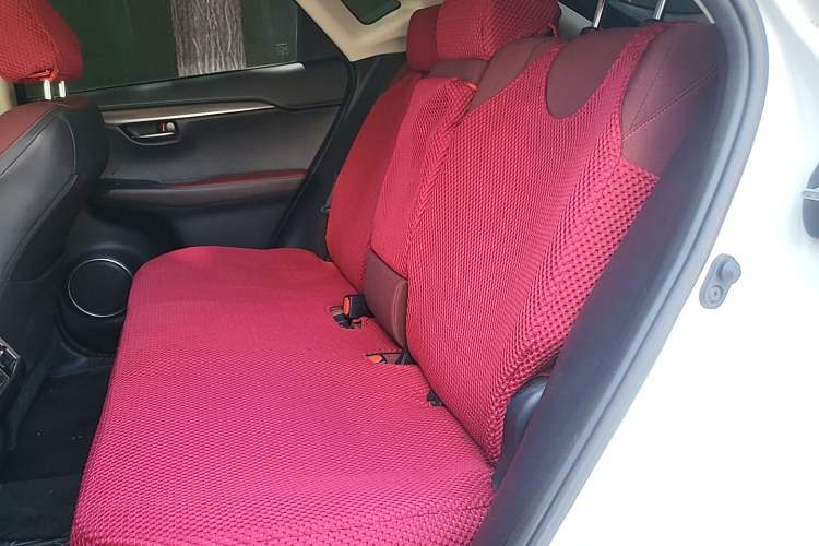 Used Lexus NX 2018 200 Front-Wheel-Drive Xingxing Edition China VI Standard Left Rear Seat