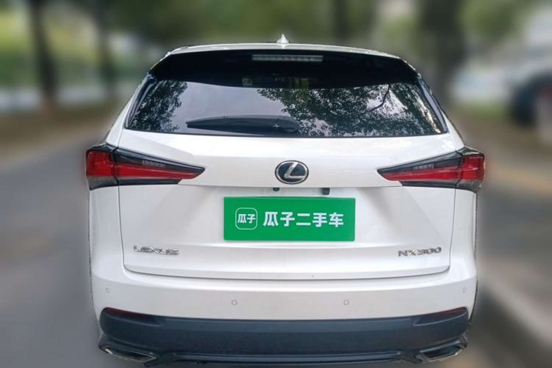 Used Lexus NX 2018 300 Front-Drive Freeline Edition Rear