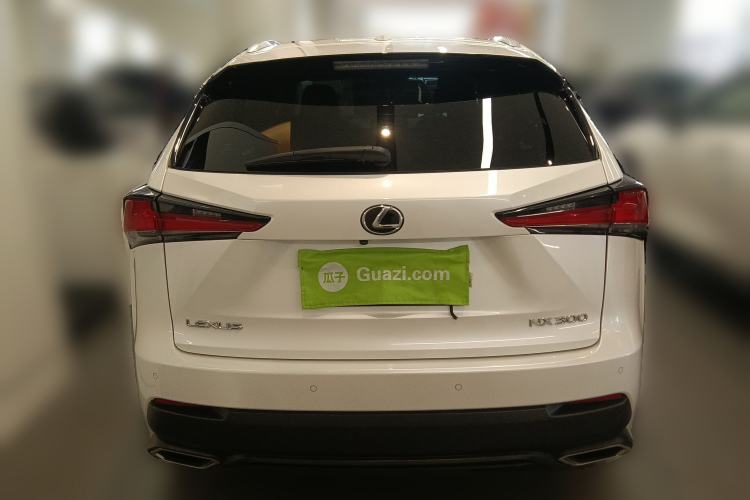 Used Lexus NX 2018 300 All-Wheel Drive Fēngshàng Edition Rear