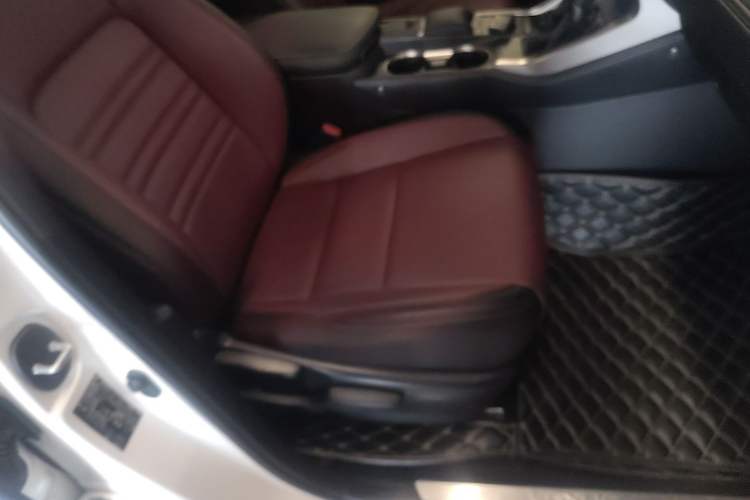 Used Lexus NX 2018 200 Front-Wheel-Drive Xingxing Edition China VI Standard Right Front Seat