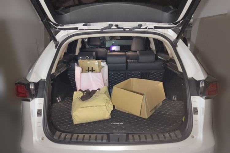 Used Lexus NX 2018 200 All-Wheel Drive FENGSHANG Version China VI Standard Trunk