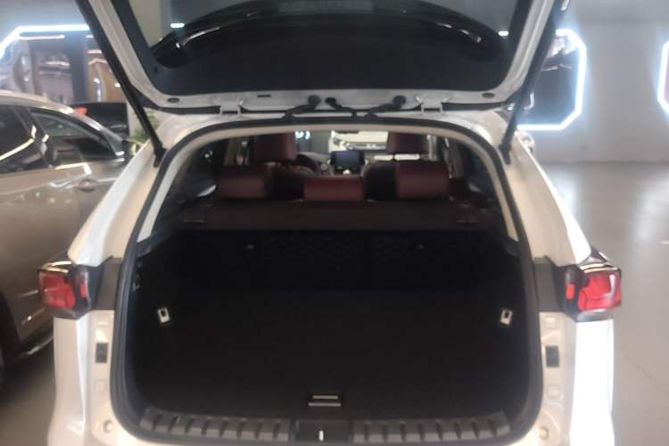 Used Lexus NX 2018 200 Front-Wheel-Drive Xingxing Edition China VI Standard Trunk