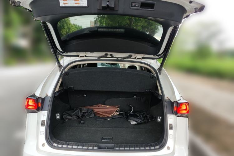 Used Lexus NX 2018 300 Front-Drive Freeline Edition Trunk