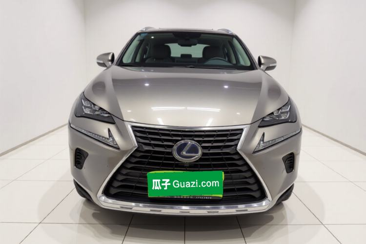 Used Lexus NX 2019 300h Millionth Anniversary Limited Edition China VI Standard Exterior 1