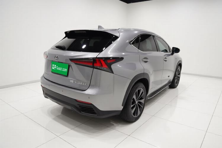 Used Lexus NX 2019 300h Millionth Anniversary Limited Edition China VI Standard Exterior 5