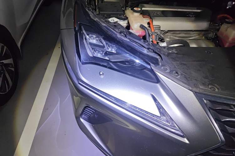 Used Lexus NX 2019 300h Millionth Anniversary Limited Edition China VI Standard Exterior 6