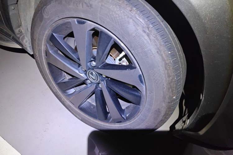 Used Lexus NX 2019 300h Millionth Anniversary Limited Edition China VI Standard Exterior 7