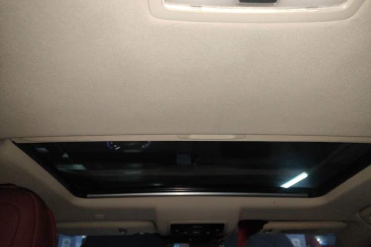 Used Lexus NX 2019 300h Millionth Anniversary Limited Edition China VI Standard Headliner