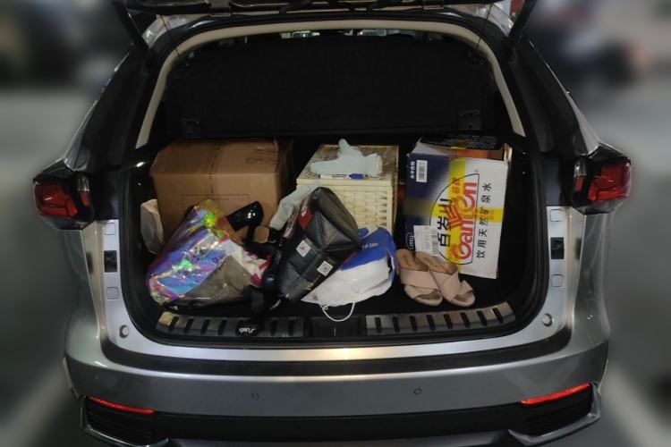Used Lexus NX 2019 300h Millionth Anniversary Limited Edition China VI Standard Trunk