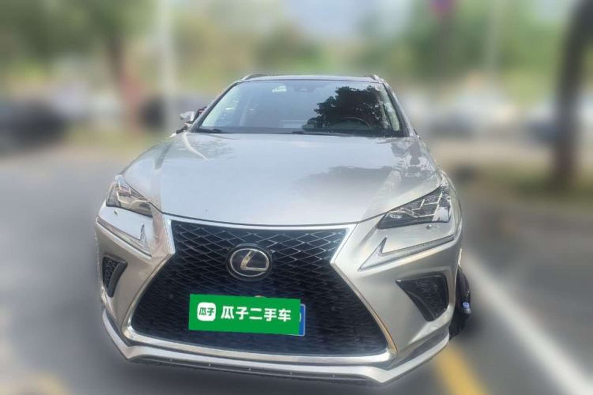 Used Lexus NX 2019 300h Millionth Anniversary Limited Edition China VI Standard Front