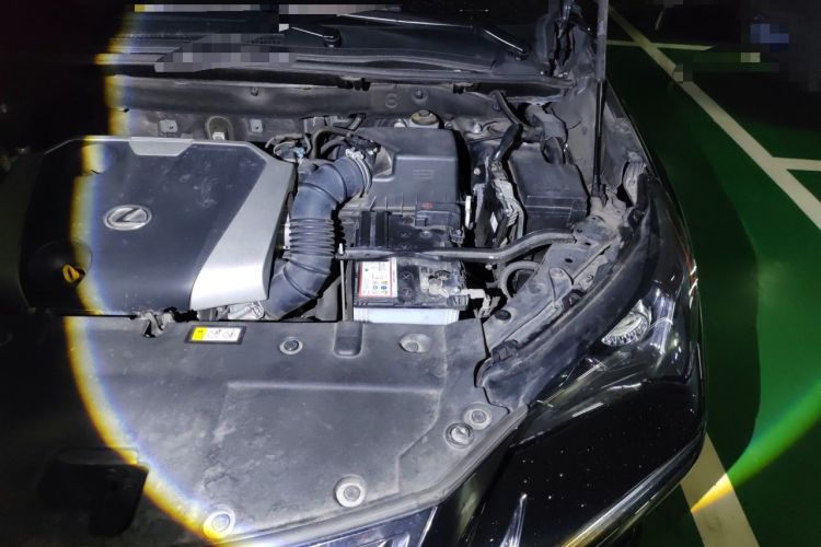 Used Lexus NX 2020 200 Front-Wheel Drive Freeline Edition China VI Standard Engine Bay Left