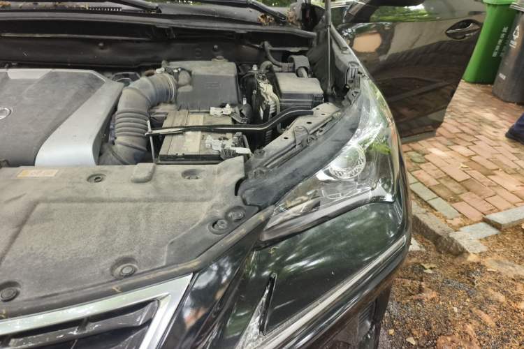 Used Lexus NX 2020 200 Front-Wheel Drive Freeline Edition China VI Standard Engine Bay Left