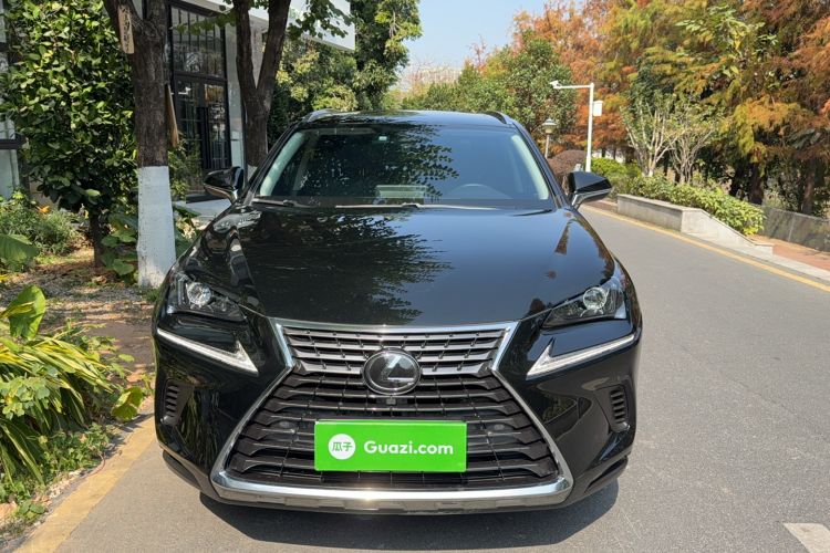 Used Lexus NX 2020 200 All-Wheel Drive Fēngshàng Version China VI Standard Exterior 1
