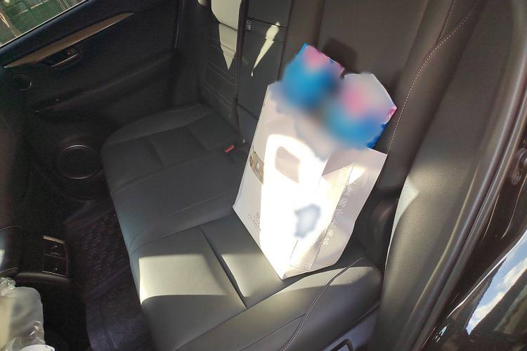 Used Lexus NX 2020 200 All-Wheel Drive Fēngshàng Version China V Standard Interior 4