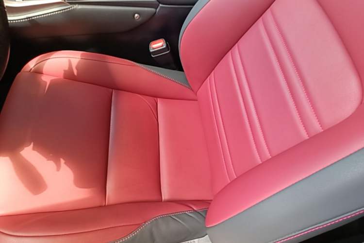 Used Lexus NX 2020 300h Front-Drive FENGSHANG Version China VI Standard Left Front Seat