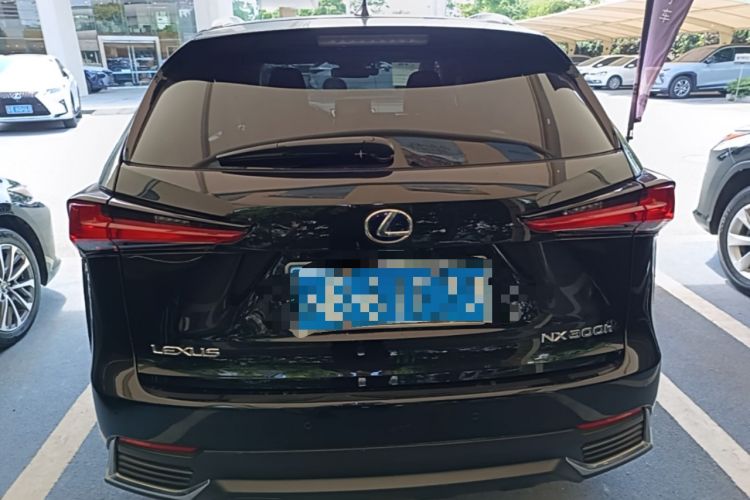 Used Lexus NX 2020 300h Front-Drive FENGSHANG Version China VI Standard Rear