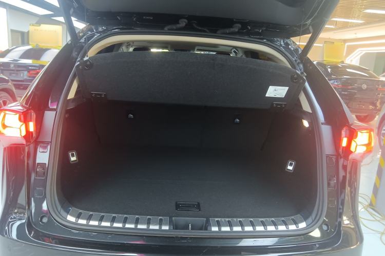 Used Lexus NX 2020 300h Front-Drive FENGSHANG Version China VI Standard Trunk