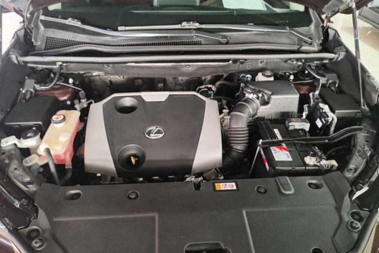 Used Lexus NX 2020 200 Front-Wheel Drive Freeline Edition China VI Standard Engine Bay
