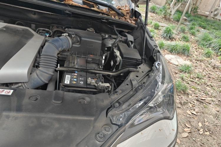 Used Lexus NX 2020 200 All-Wheel Drive Fēngshàng Version China VI Standard Engine Bay Left